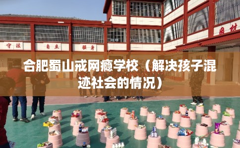 合肥蜀山戒网瘾学校（解决孩子混迹社会的情况）