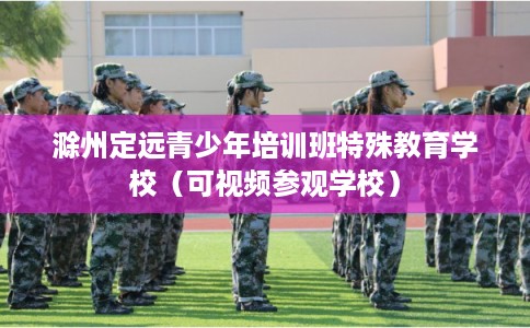 滁州定远青少年培训班特殊教育学校(可视频参观学校) 滁州定远青少年培训班特殊教育学校(可视频参观学校)