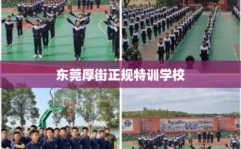 东莞厚街正规特训学校
