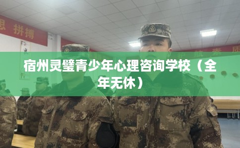 宿州灵璧青少年心理咨询学校（全年无休）