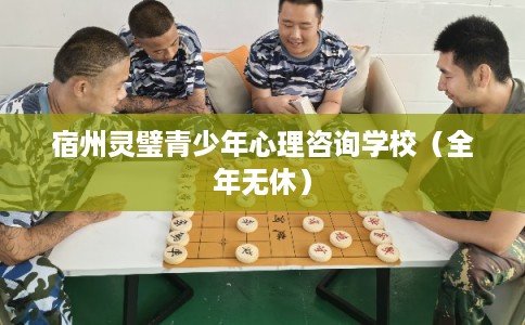 宿州灵璧青少年心理咨询学校（全年无休）