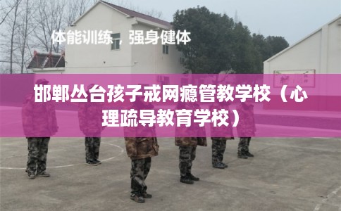 邯郸丛台孩子戒网瘾管教学校(心理疏导教育学校) 邯郸丛台孩子戒网瘾管教学校(心理疏导教育学校)