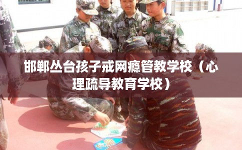 邯郸丛台孩子戒网瘾管教学校(心理疏导教育学校) 邯郸丛台孩子戒网瘾管教学校(心理疏导教育学校)