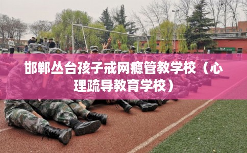 邯郸丛台孩子戒网瘾管教学校(心理疏导教育学校) 邯郸丛台孩子戒网瘾管教学校(心理疏导教育学校)