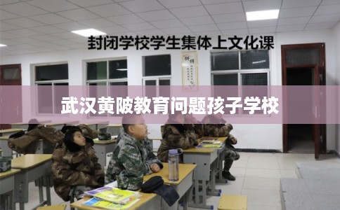 武汉黄陂教育问题孩子学校 武汉黄陂教育问题孩子学校
