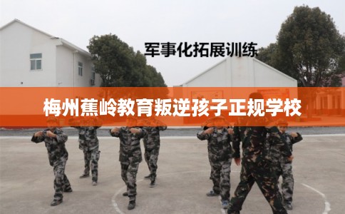 梅州蕉岭教育叛逆孩子正规学校