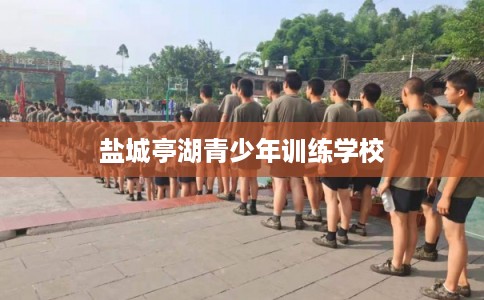 盐城亭湖青少年训练学校
