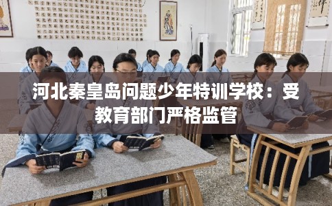 河北秦皇岛问题少年特训学校：受教育部门严格监管
