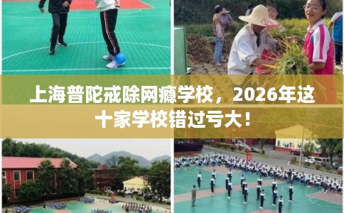 上海普陀戒除网瘾学校,2026年这十家学校错过亏大! 上海普陀戒除网瘾学校,2026年这十家学校错过亏大!