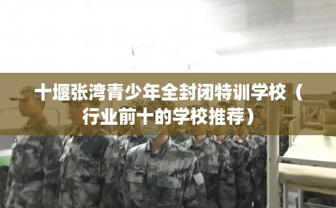 十堰张湾青少年全封闭特训学校（行业前十的学校推荐）