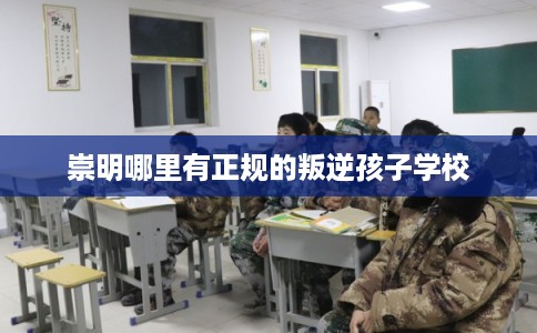 崇明哪里有正规的叛逆孩子学校