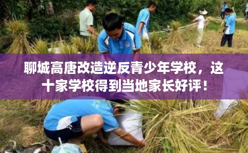 聊城高唐改造逆反青少年学校,这十家学校得到当地家长好评! 聊城高唐改造逆反青少年学校,这十家学校得到当地家长好评!