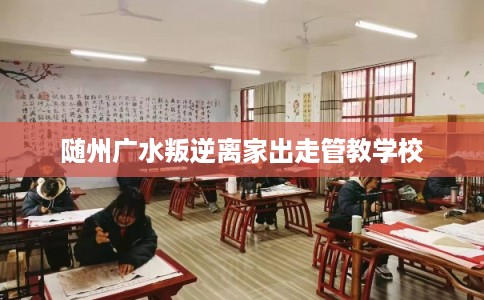 随州广水叛逆离家出走管教学校 随州广水叛逆离家出走管教学校