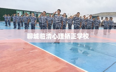 聊城临清心理矫正学校