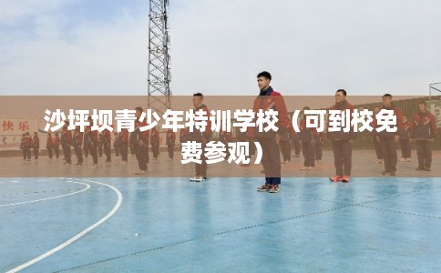 沙坪坝青少年特训学校（可到校免费参观）