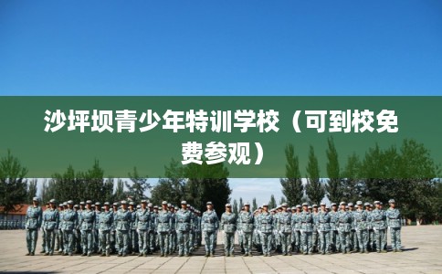 沙坪坝青少年特训学校（可到校免费参观）