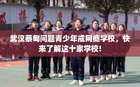 武汉蔡甸问题青少年戒网瘾学校，快来了解这十家学校!