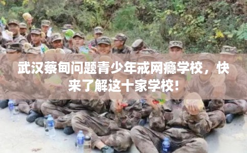 武汉蔡甸问题青少年戒网瘾学校，快来了解这十家学校!