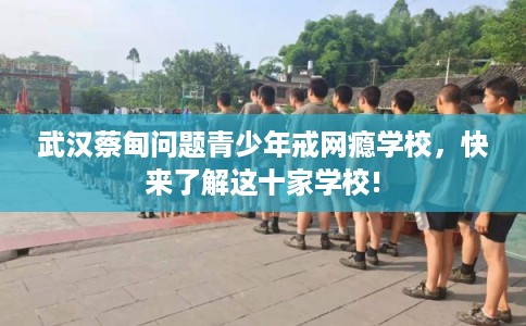 武汉蔡甸问题青少年戒网瘾学校，快来了解这十家学校!