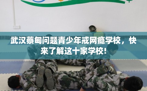 武汉蔡甸问题青少年戒网瘾学校，快来了解这十家学校!