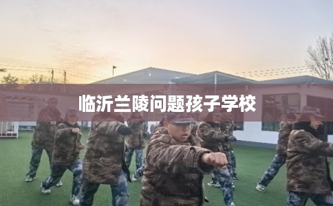 临沂兰陵问题孩子学校
