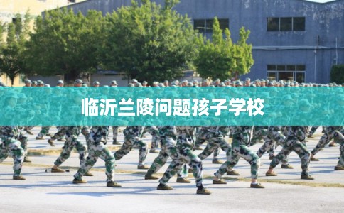 临沂兰陵问题孩子学校