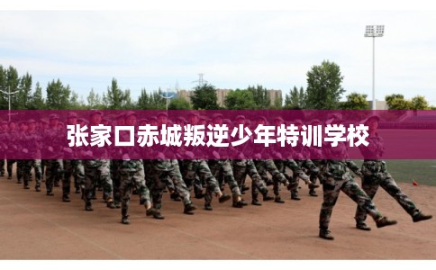 张家口赤城叛逆少年特训学校