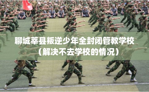 聊城莘县叛逆少年全封闭管教学校（解决不去学校的情况）