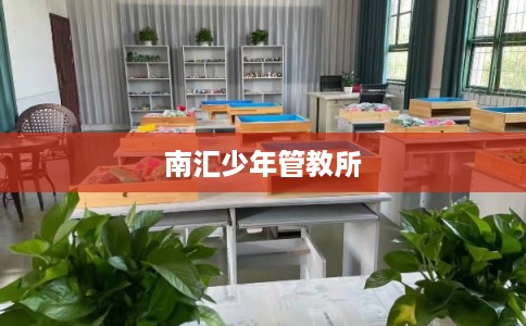 南汇少年管教所 南汇少年管教所