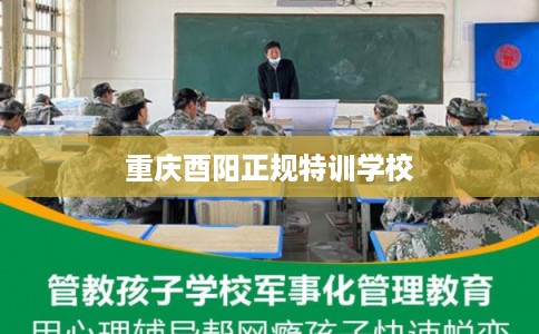 重庆酉阳正规特训学校 重庆酉阳正规特训学校