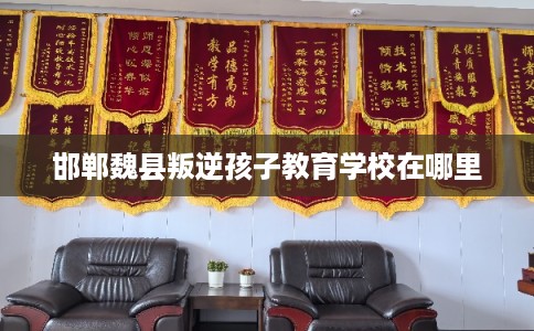 邯郸魏县叛逆孩子教育学校在哪里