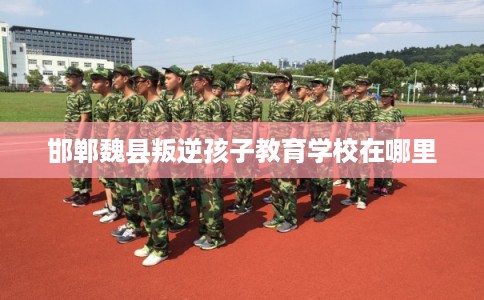 邯郸魏县叛逆孩子教育学校在哪里