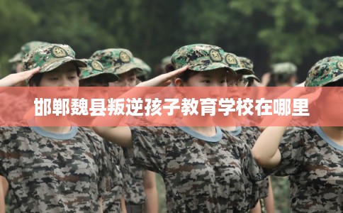 邯郸魏县叛逆孩子教育学校在哪里