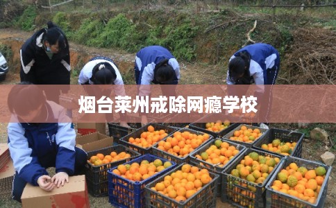 烟台莱州戒除网瘾学校