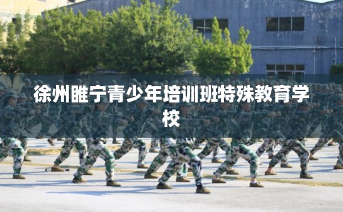 徐州睢宁青少年培训班特殊教育学校