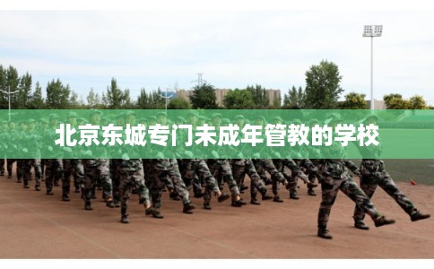 北京东城专门未成年管教的学校