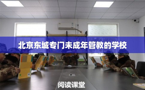 北京东城专门未成年管教的学校