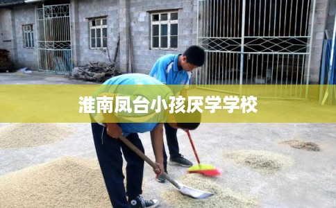 淮南凤台小孩厌学学校