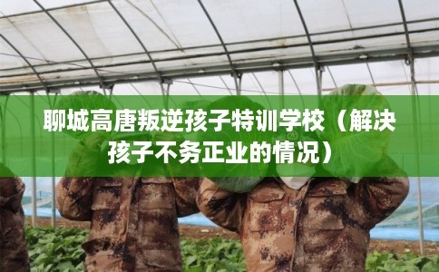 聊城高唐叛逆孩子特训学校（解决孩子不务正业的情况）