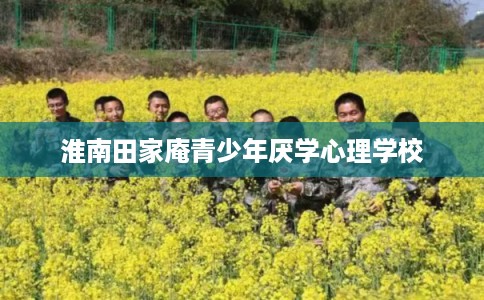 淮南田家庵青少年厌学心理学校 淮南田家庵青少年厌学心理学校