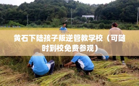 黄石下陆孩子叛逆管教学校（可随时到校免费参观）