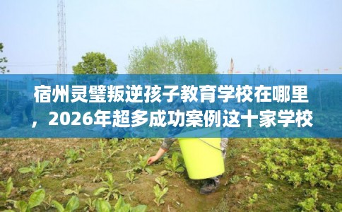 宿州灵璧叛逆孩子教育学校在哪里，2026年超多成功案例这十家学校！