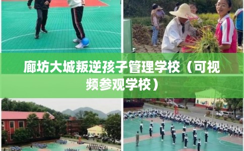 廊坊大城叛逆孩子管理学校（可视频参观学校）