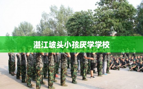 湛江坡头小孩厌学学校