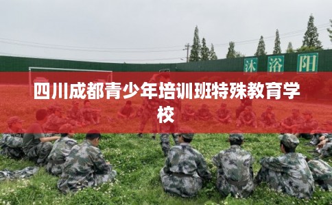 四川成都青少年培训班特殊教育学校