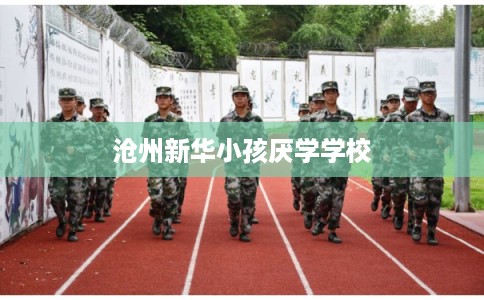沧州新华小孩厌学学校 沧州新华小孩厌学学校