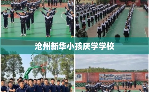 沧州新华小孩厌学学校 沧州新华小孩厌学学校