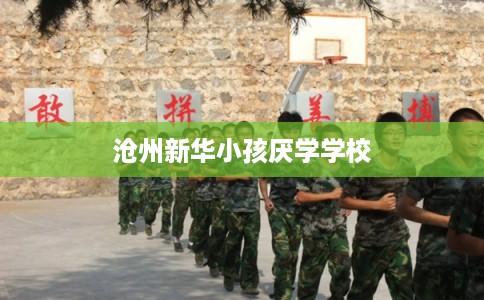 沧州新华小孩厌学学校
