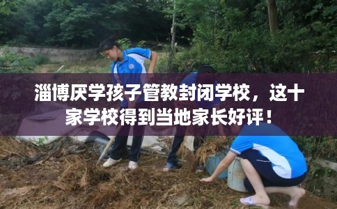 淄博厌学孩子管教封闭学校，这十家学校得到当地家长好评！