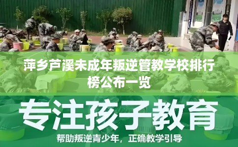 萍乡芦溪未成年叛逆管教学校排行榜公布一览 萍乡芦溪未成年叛逆管教学校排行榜公布一览